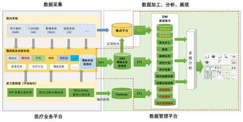 億信華辰 領(lǐng)航大數(shù)據(jù)分析，賦能企業(yè)數(shù)據(jù)治理與商業(yè)智能新紀(jì)元